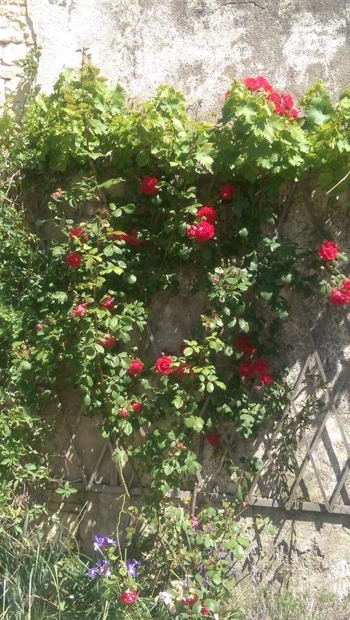 Bed and Breakfast Vingt Grand Rue Champagne-Mouton Екстер'єр фото