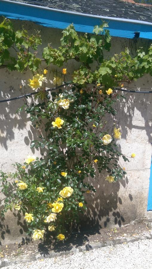 Bed and Breakfast Vingt Grand Rue Champagne-Mouton Екстер'єр фото